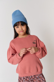 Tumble n dry sweater mila canyon rose 113