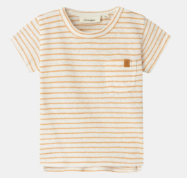 Lil' Atelier baby streep shirt hektor clay 29