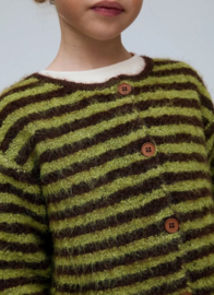 Compania fantastica vest groen streep 23