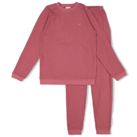 Feetje pyjama familie editie berry