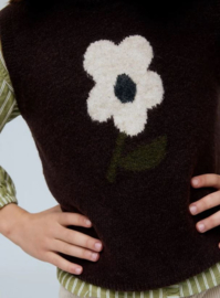 Compania fantastica spencer flower bruin 17