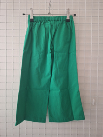 Compania fantastica broek groen 20