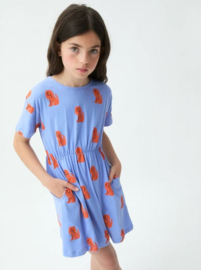 Compania fantastica jurk 05