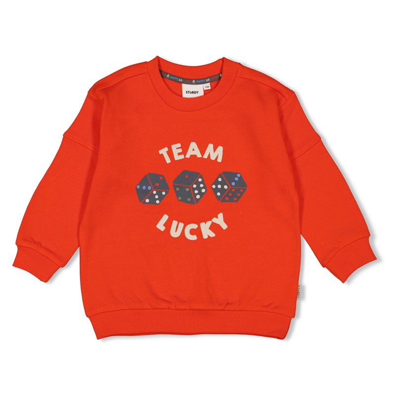Sturdy sweater red 32