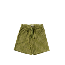 Your wishes relaxed shorts wave iguana 277
