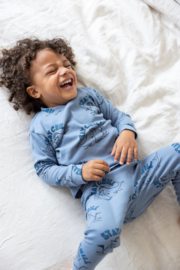Feetje pyjama willy walrus blauw
