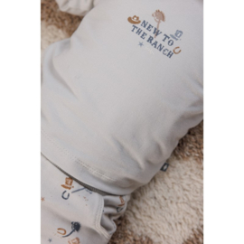 Feetje shirt licht blauw 144