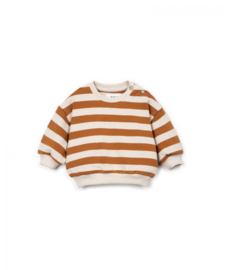Play up baby sweater 36