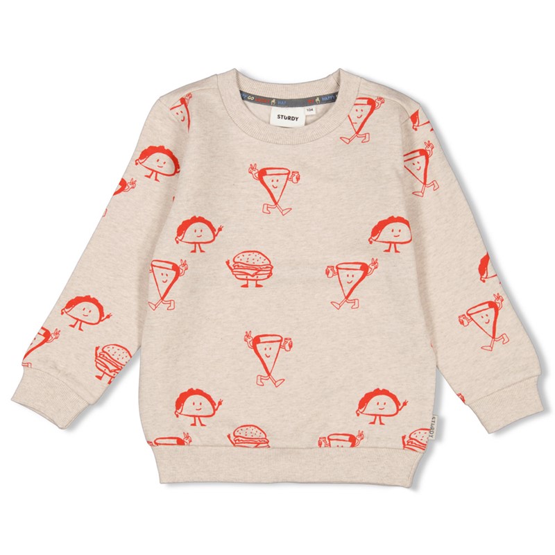 Sturdy sweater 34