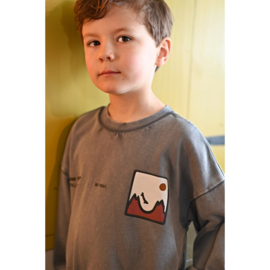 Sturdy sweater grey 114