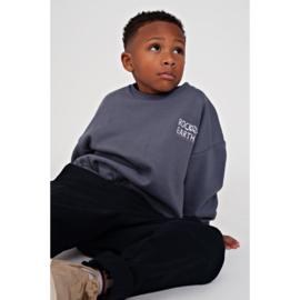 Sturdy sweater blue 109