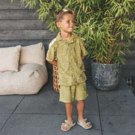 Your wishes relaxed shorts wave iguana 277