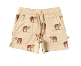 Your wishes baby short elon camels 63
