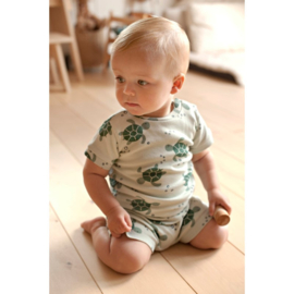 Feetje pyjama timmy turtle mint