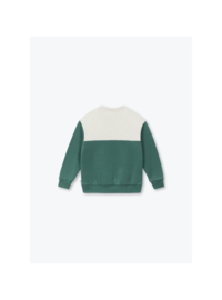 Arsene & les pipelettes boys sweater vert 100