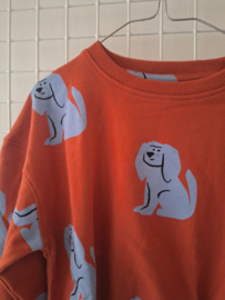 Compania fantastica sweater 03