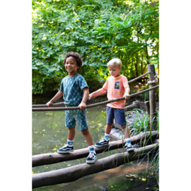 Sturdy short indigo 61