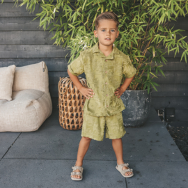 Your wishes relaxed shorts wave iguana 277