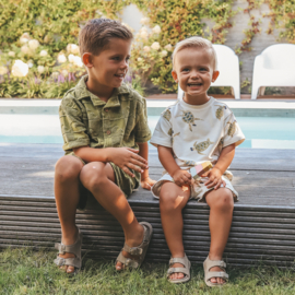 Your wishes relaxed shorts wave iguana 277