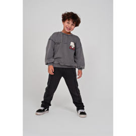 Sturdy sweater grey 114