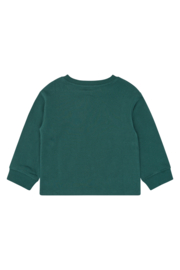 The new little sweater valin june bug 30