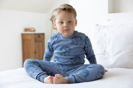 Feetje pyjama willy walrus blauw