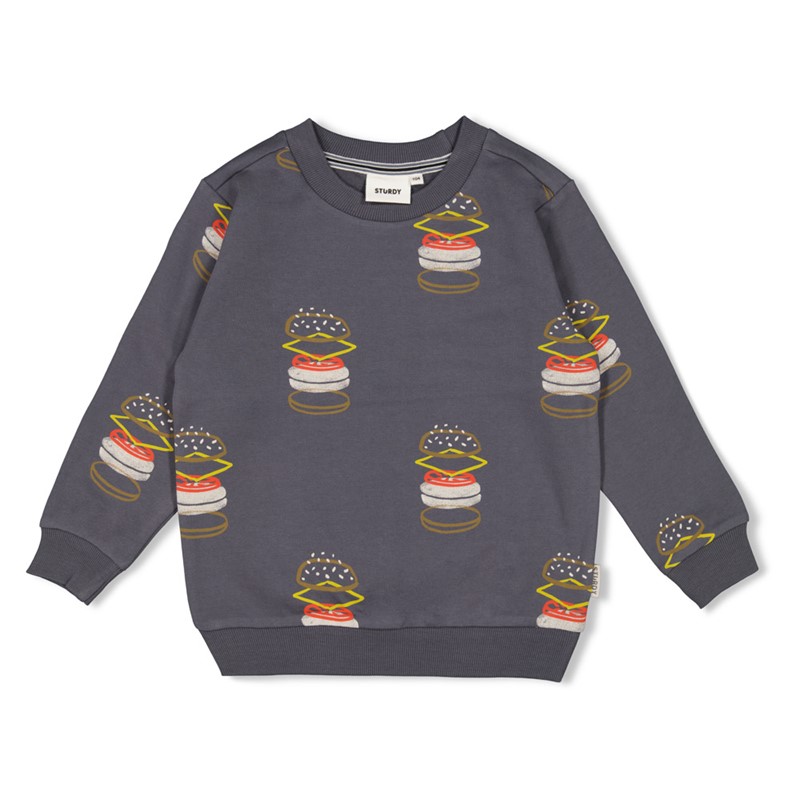 Sturdy sweater anthracite 38
