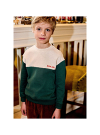 Arsene & les pipelettes boys sweater vert 100