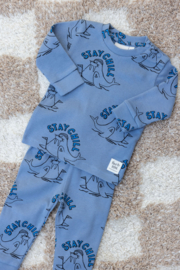 Feetje pyjama willy walrus blauw