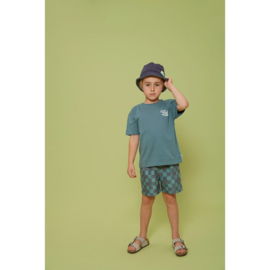 Sturdy shirt petrol 66