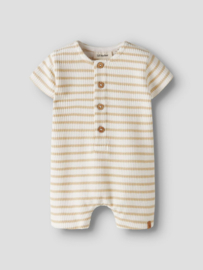 Lil' atelier baby pakje tadeo coconut milk 58