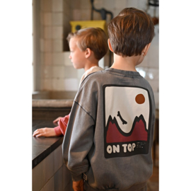Sturdy sweater grey 114