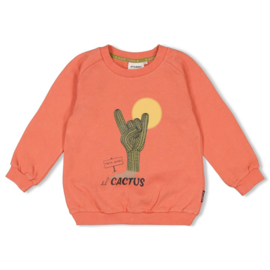 Sturdy sweater orange coral cactus 67