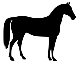 Paard compleet - 200, 500 of 1000 gram