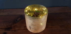 Amaryllisbol met glazen vaas en lichtjes