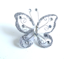 Broche Silverwing