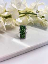 Ring Crush of Silver