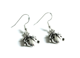 Duo pack Lieveheersbeestje | zilverkleurig & rood