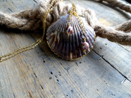 Ketting Schelp Bruin