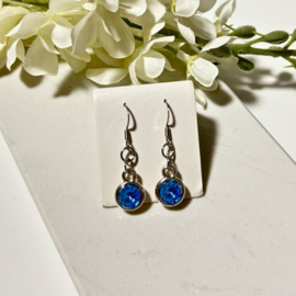 Oorbellen Bling LB