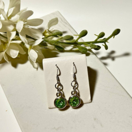 Oorbellen Bling LG