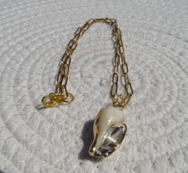 Ketting Schelp