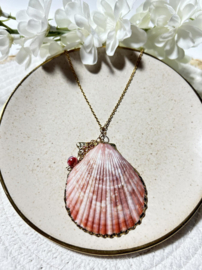 Ketting Schelp Roze
