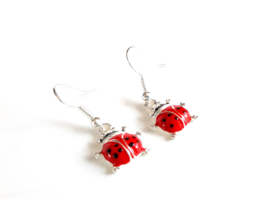 Duo pack Lieveheersbeestje | zilverkleurig & rood