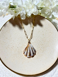 Ketting Schelp