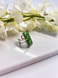Ring Crush of Silver