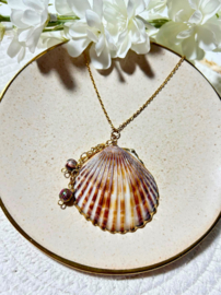 Ketting Schelp Bruin