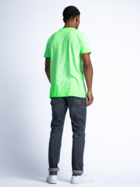 Petrol - Tshirt - Green Gecko