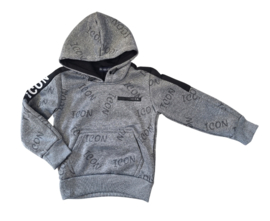 Hoody icon grey