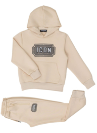 Icon set beige